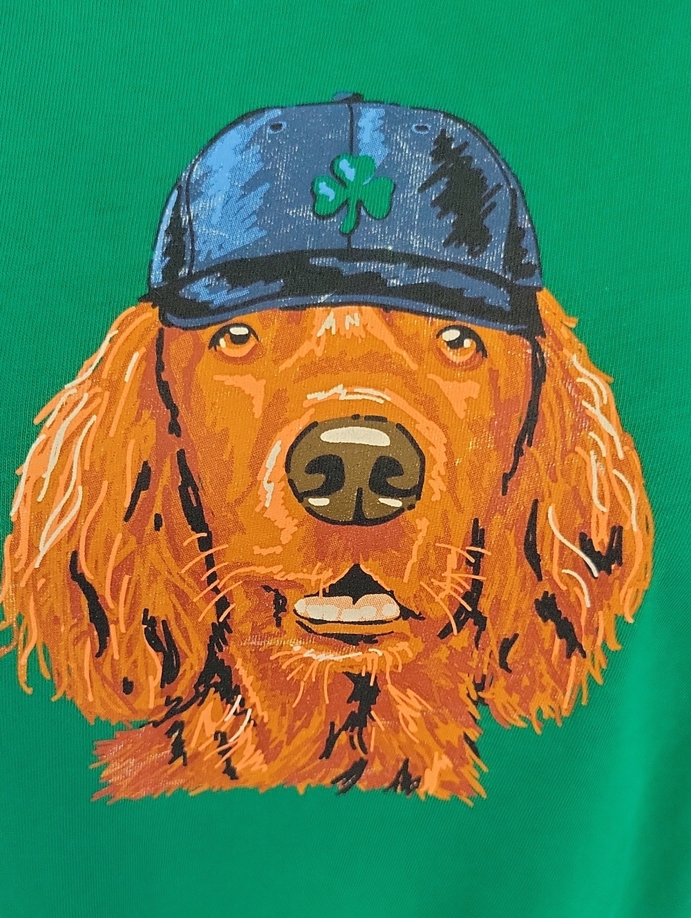 J. Crew St. Patrick's Day Collection T-Shirt Medium Green - Picture 2 of 10